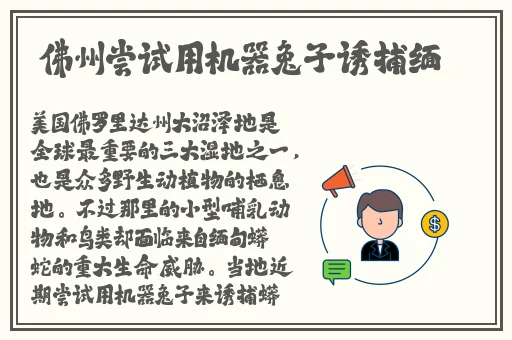 国产福利一区二区在线精品